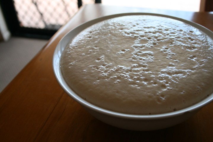 Yeast begins to brew, turning this...