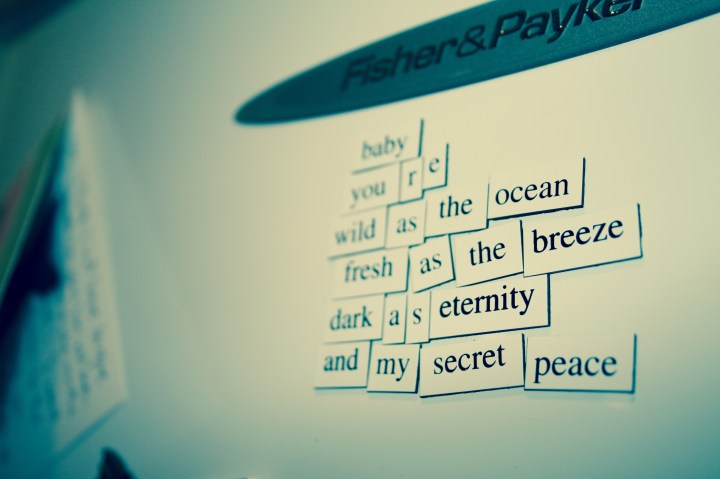 Fridge poetry 2009 - Wild as the Ocean