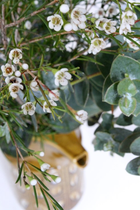 Retro coffee pot used in place of the vase I don't have yet. IMG_0147