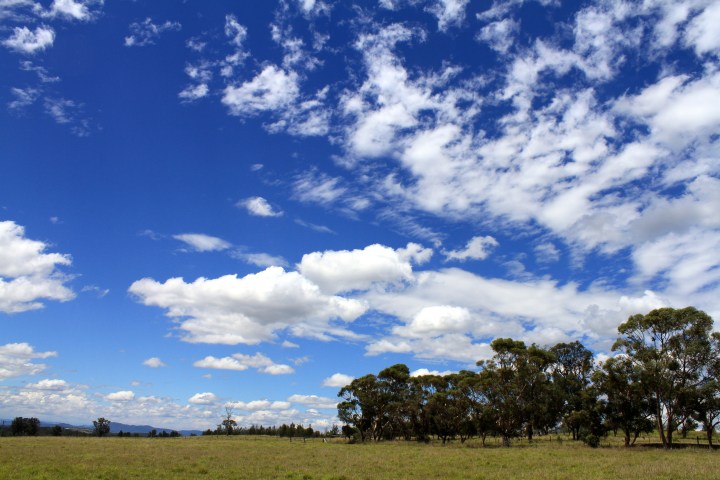 At Pokolbin Brothers Wines
