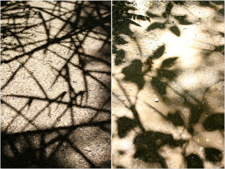 Yandina Shadows grid