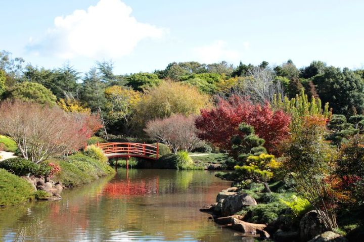 Japanese Garden on the ground of the University of Southern Queensland, Toowoomba