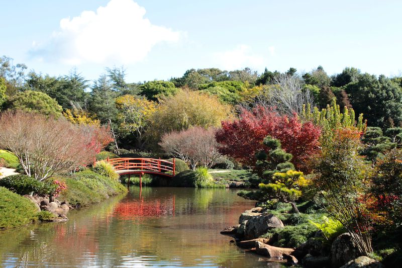 Japanese Garden on the ground of the University of Southern Queensland, Toowoomba