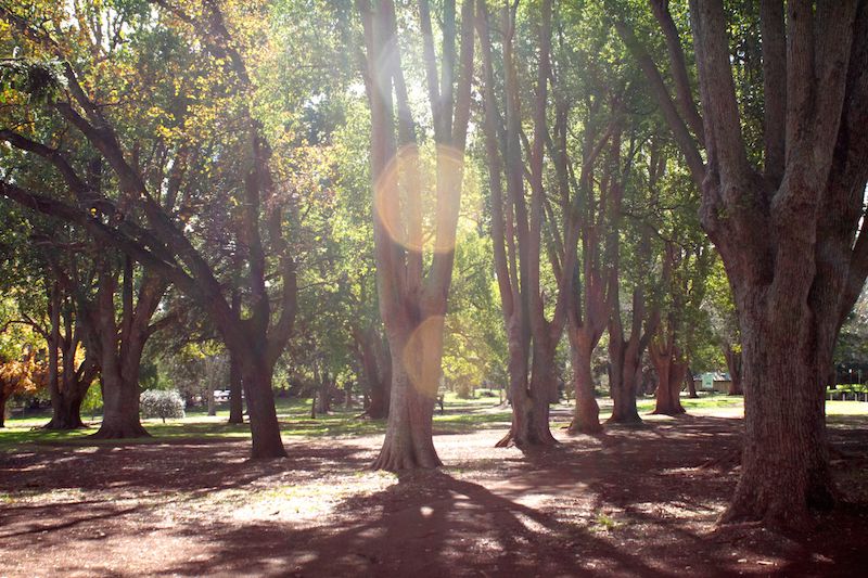 Queens Park, Toowoomba, Queensland