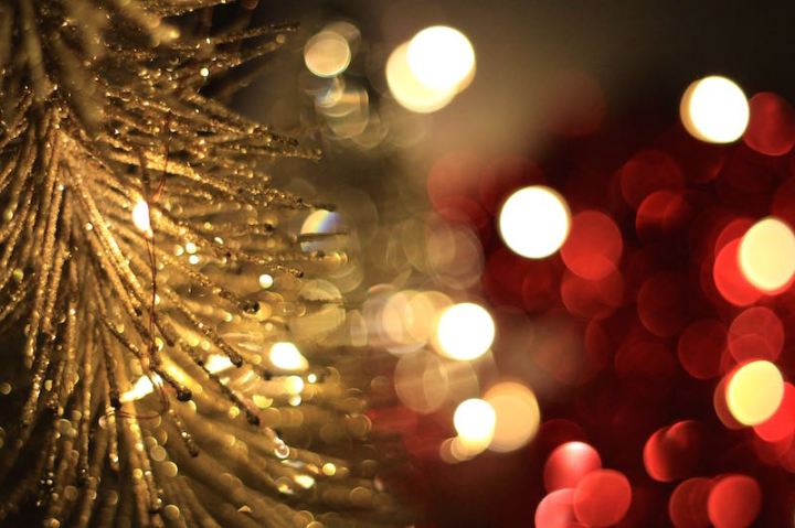 'Tis the season - Christmas lights