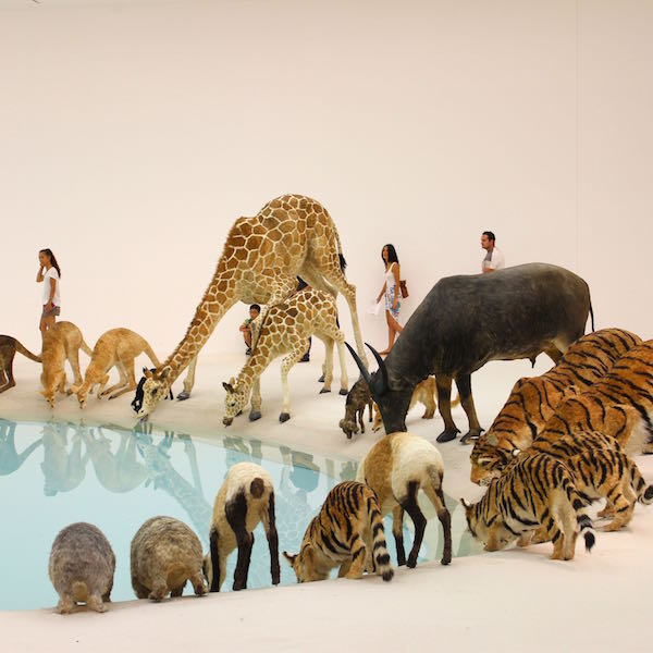 January 2014 - Cai Guo-Qiang exhibition, GOMA Brisbane