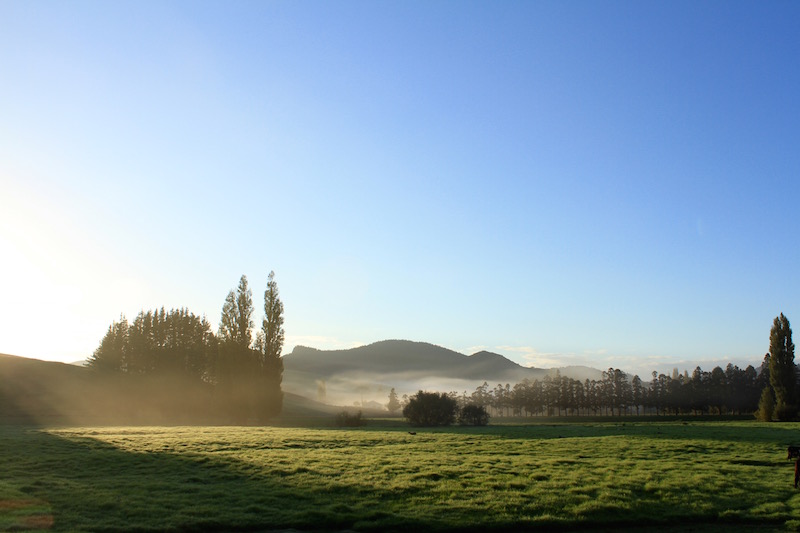 Rising sun, Far North New Zealand