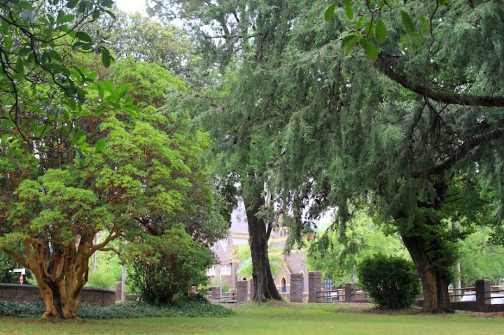 Church grounds in beautiful green Armidale, New South Wales
