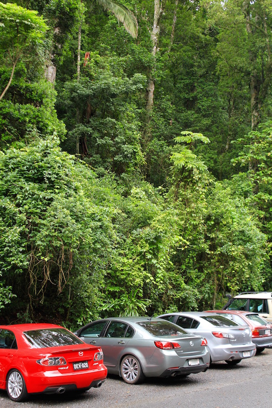 Pit stop on the Great Dividing Range