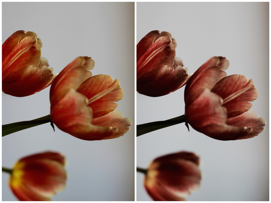 Fresh flowers for a weekend at home - bright orange spring tulips