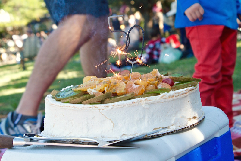 Greg's 50th in New Farm Park, May 2015c