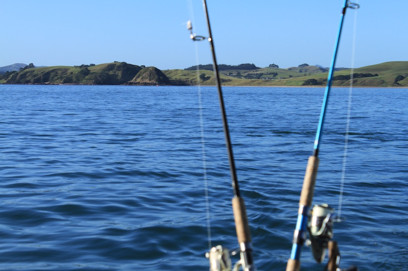 Fishing in the pristine waters of New Zealand