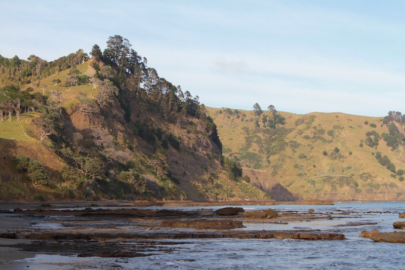 Coastline at Goat Island Beach, Leigh, Matakana Coast