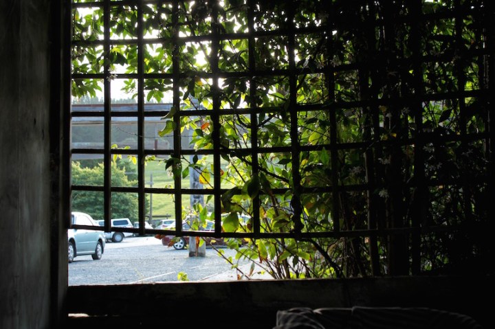 Cool summer evening, Leigh Sawmill Cafe, Matakana Coast