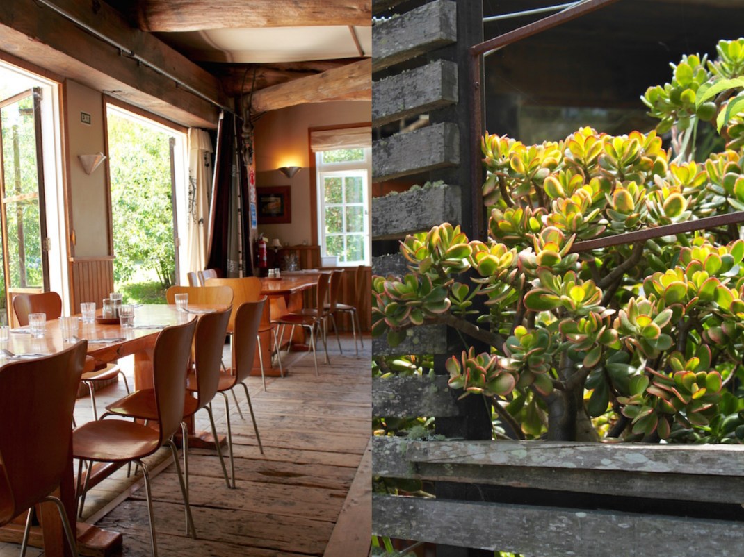 Leigh Sawmill Cafe, Matakana Coast, New Zealand collage