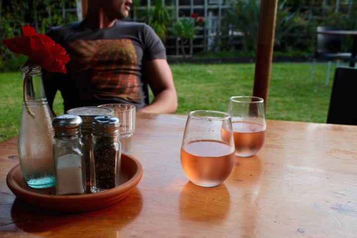 Rosy rose at Leigh Sawmill Cafe, Matakana Coast New Zealand