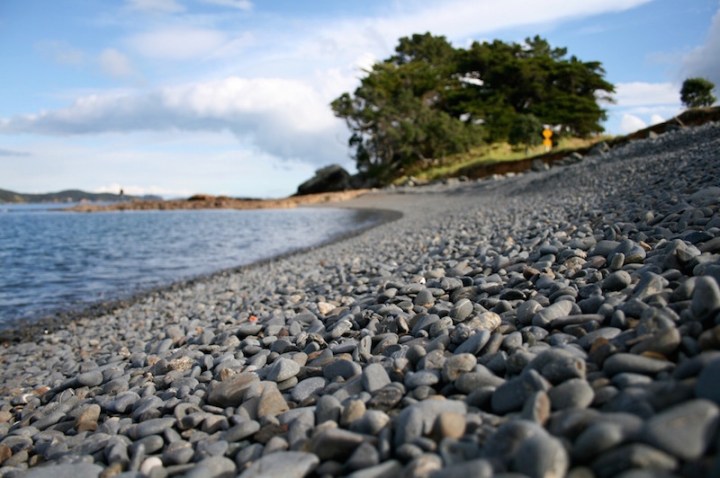 Tawharanui Regional Park, Matakana Coast New Zealand