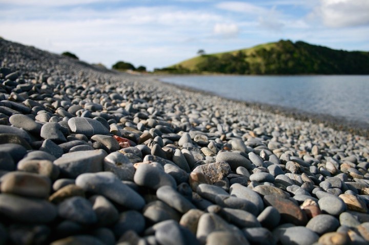 Tawharanui Regional Park, Matakana Coast NZ