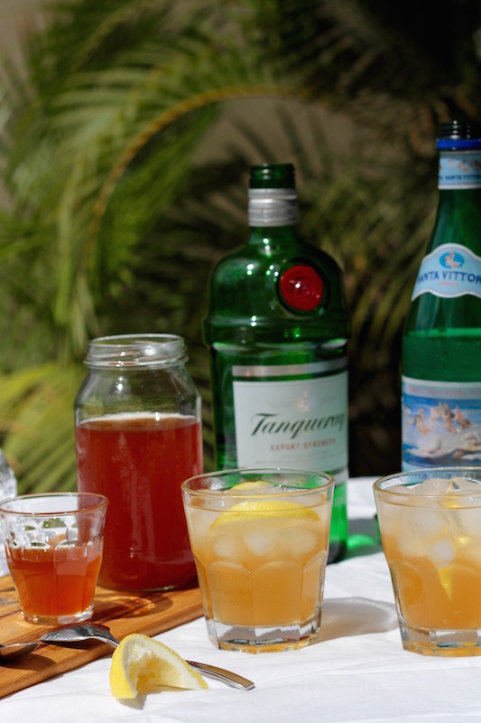 Gin and homemade tonic syrup