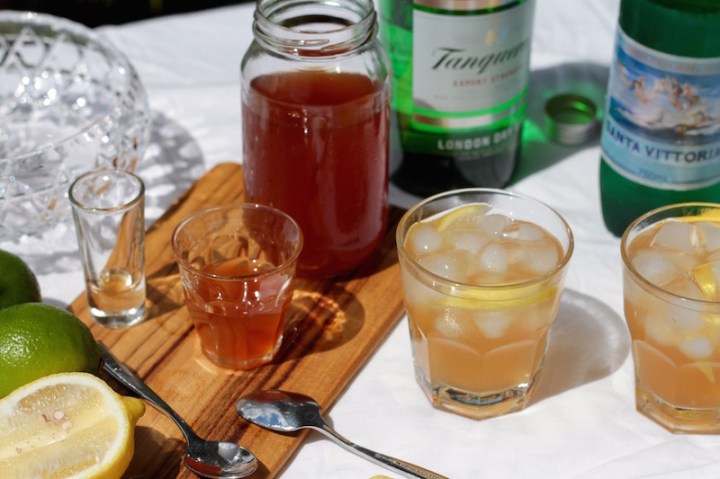 Gin and tonic - with homemade tonic syrup