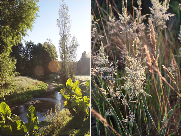 Far North New Zealand December 2015