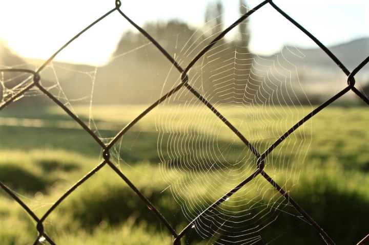 Rural far north New Zealand 2014