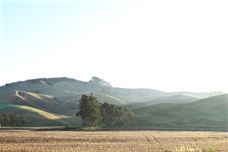Rural far north New Zealand, 2014