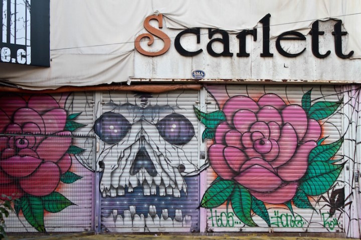Skull and roses - street art, Bellavista, Santiago Chile