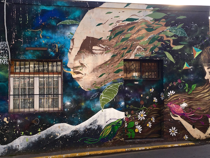 Windswept - street mural in Bellavista, Santiago, Chile