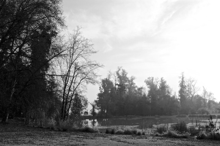 concha-y-toro-winery-at-dusk-monochrome