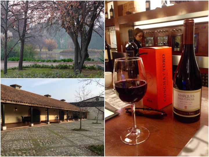 concha-y-toro-winery-close-to-santiago-chile