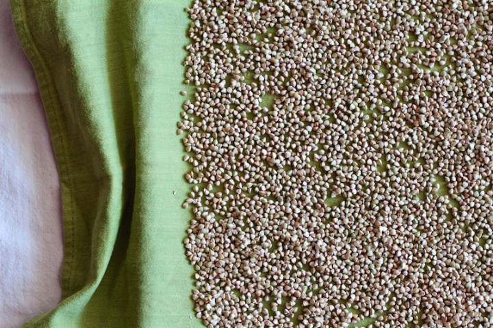 New best granola - Buckwheat, Apricot and Coconut - gluten-free