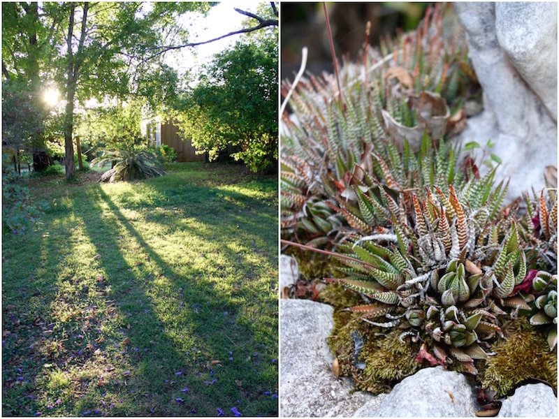 Garden views and the setting sun