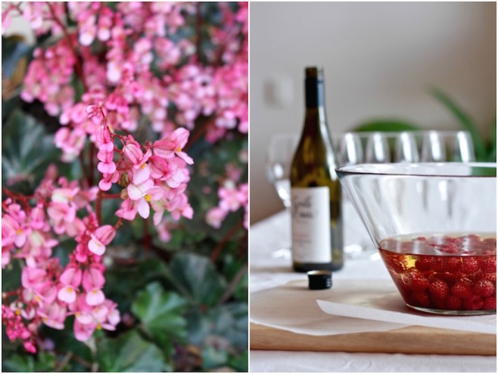 Raspberry Chardonnay Jelly and pink flowering begonias