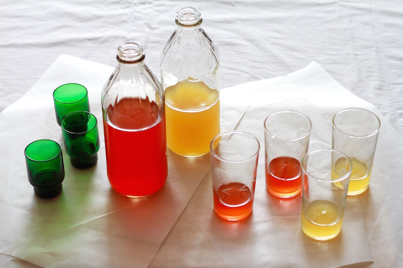 Jewel-like fruit shrubs, November 2016