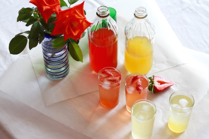 Strawberry & Peppercorn Shrub and Pineapple & Chilli Shrub