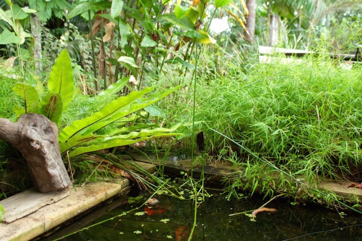 Weekend escape in Currumbin Valley, Gold Coast hinterland, February 2016