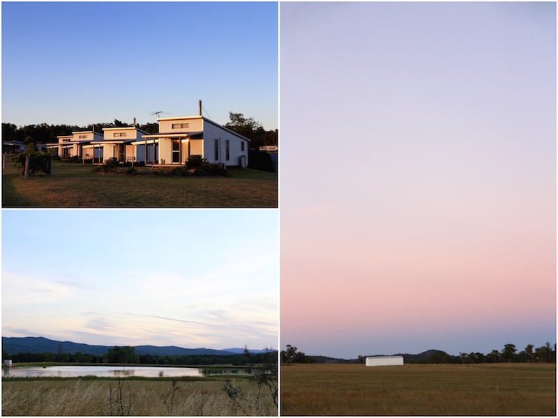 At Ridgemill Estate Winery, Stanthoroe, Queensland Australia