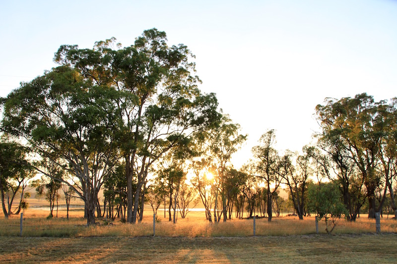 At dawn, Stanthorpe, Southern Queensland, Australia
