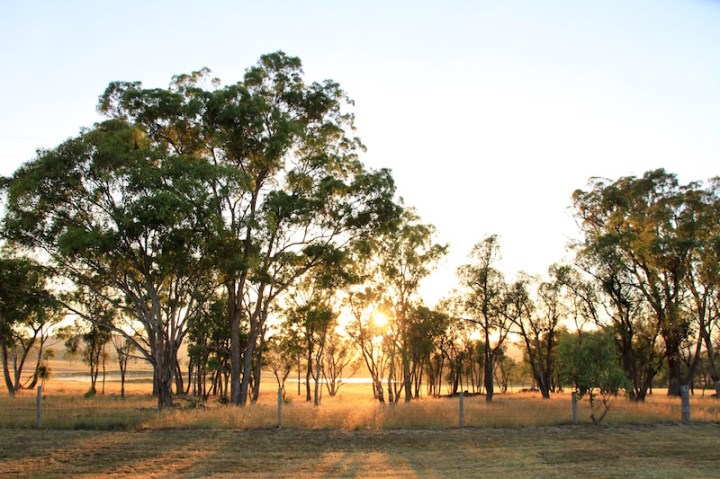 At dawn, Stanthorpe, Southern Queensland, Australia