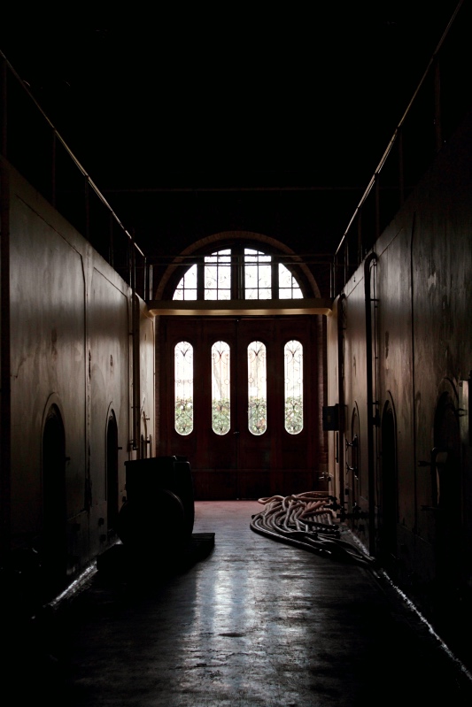 Cavas de Weinert, Mendoza Argentina