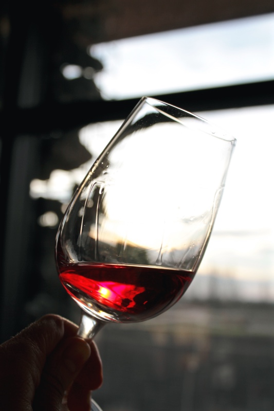 Beautiful red-pink Carmenere at Vistandes winery Mendoza