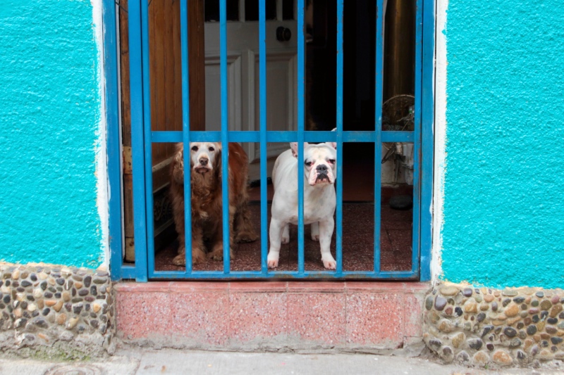 Historic Quarter, Valparaiso