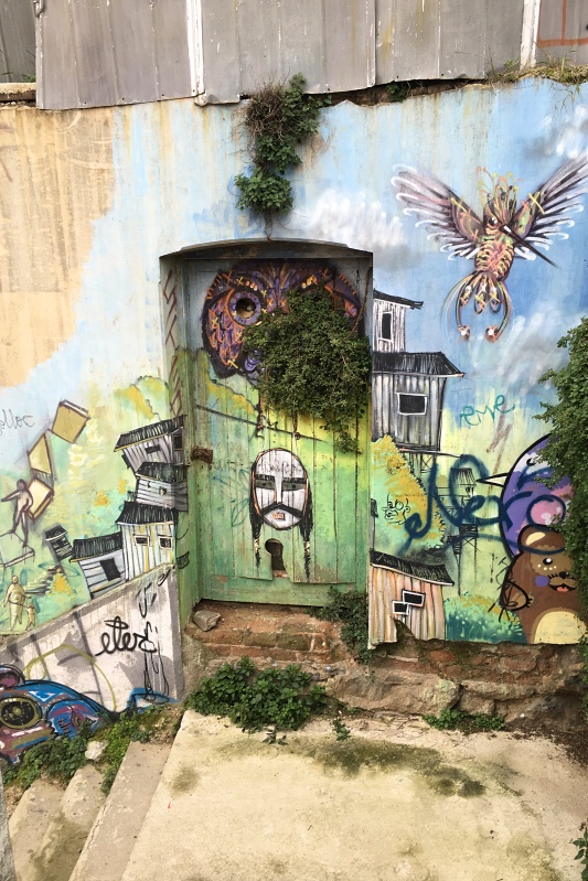 Charquipunk_Hummingbird_Valparaiso_Chile