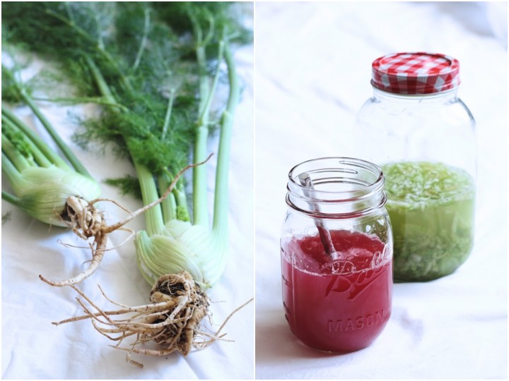 Fennel infused gin and rhubarb syrup