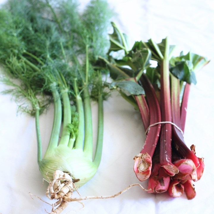 Market haul - fresh spring fennel and rhubarb