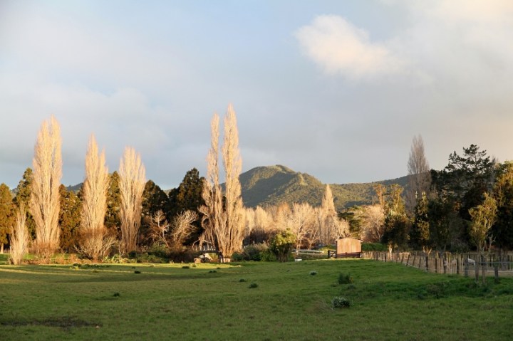 Setting sun after the rain, Far North New Zealand