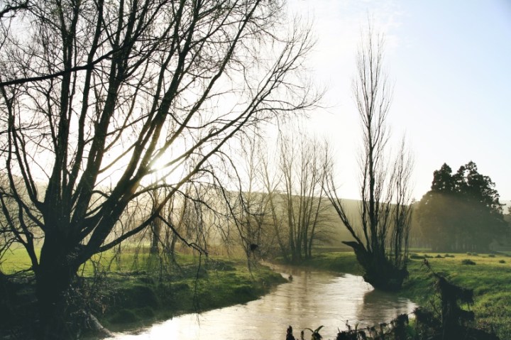 Misty morning down by the river, Far North New Zealand