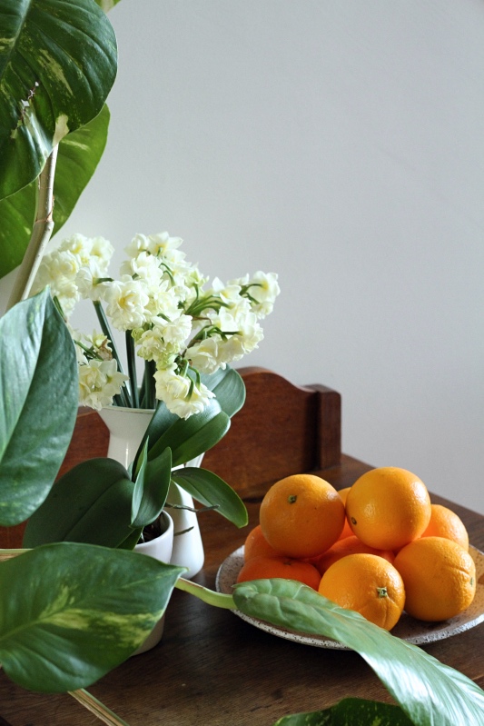 Fresh oranges for Orange & Cardamom Yoghurt Cake
