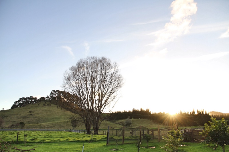 Winter sunset at home, Far North New Zealand